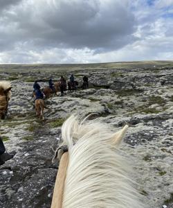 Iceland Horse Riding