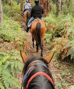 Australia riding