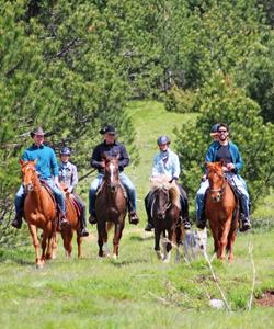 Slovenia Horse Riding