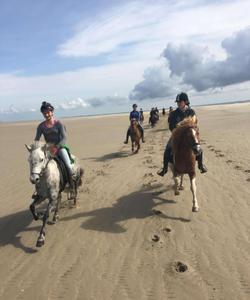Denmark Horse Riding