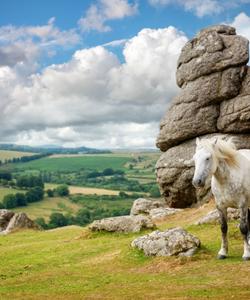 England Horse Riding