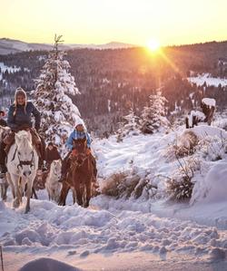 Romania Horse Riding