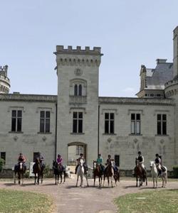Loire Castle