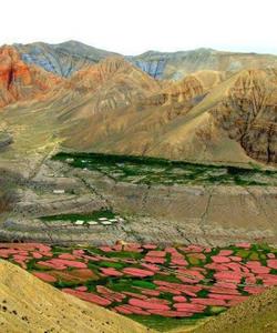 Nepal Travel