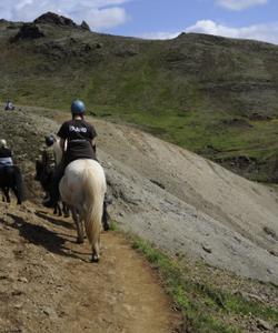 Iceland Horse Riding