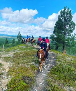 Horse riding 
