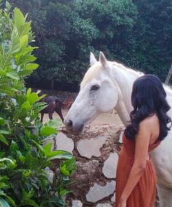 Indonesia Horse Riding