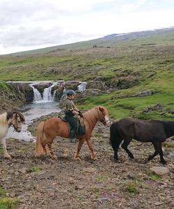 Iceland Horseriding