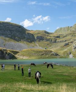 Montenegro Horse Riding