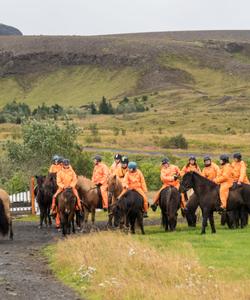 Iceland Horse Riding