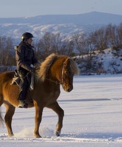 Sweden Riding