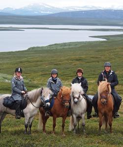 Sweden Horse Riding