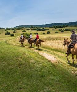 Slovenia Horse Riding