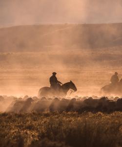 Argentina Horse Riding