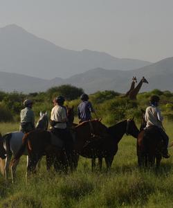Tanzania Horse Safari