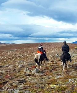 Iceland Riding