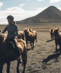 Horses in Iceland