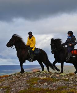 Sweden Horse Riding