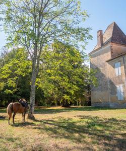 French castle 