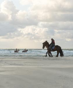 Terschelling beach ride