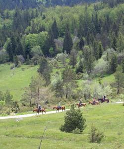 Slovenia Horse Riding
