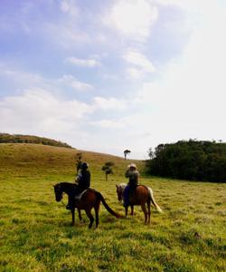 Costa Rica Riding