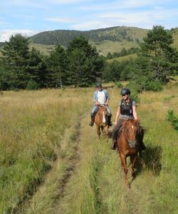 Slovenia Horse Riding