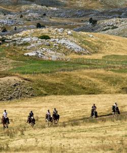 Montenegro Horse Riding