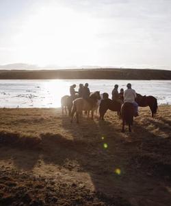 Horse riding at the lake