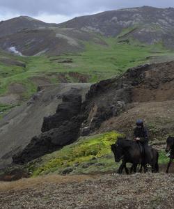 Iceland Horse Riding