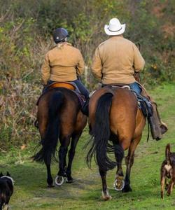England Horse Riding