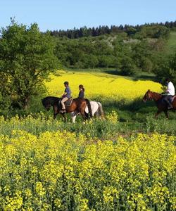 Riding in Germany