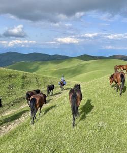 Caucasus Horse Riding