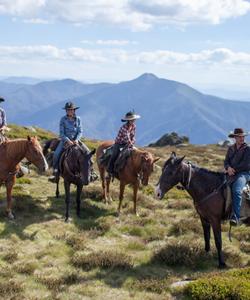 Australia riding