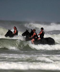 Netherlands Horse Riding