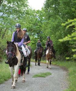 Montenegro Horse Riding