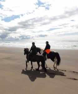 Iceland Horse Riding