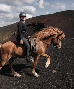 Iceland Riding