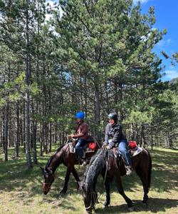 Serbia Horse Riding