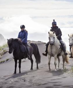 Iceland Horseriding