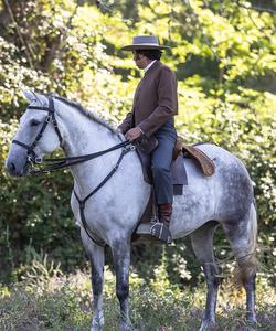 Portugal Horse Riding