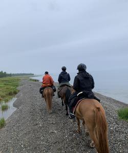 Mongolia Horse Riding