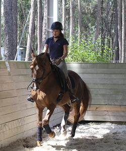 Portugal Riding Lessons