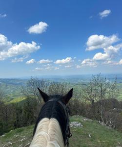 Serbia Horse Riding