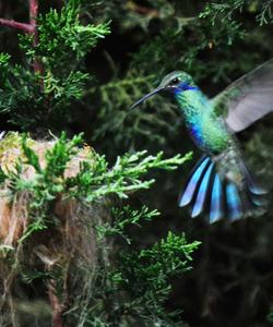 Ecuador Trekking