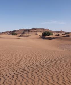 Dunes 
