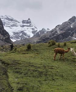 Peru Trekking