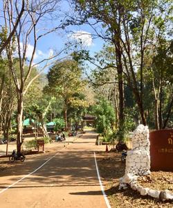 Local landscape 