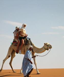 Camel ride 