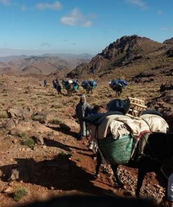 On the trek 